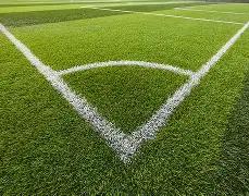 利夫拉门托,严防多库,曼城遗憾错,欧亿体育,欧亿体育官网,欧亿体育官方,欧亿体育下载