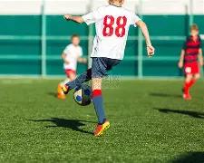 八朵金花美,网亮相创佳,首轮比赛结,欧亿体育,欧亿体育官网,欧亿体育官方,欧亿体育下载