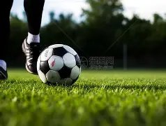 确认,摩西及葡萄,阿联酋球员,欧亿体育,欧亿体育官网,欧亿体育官方,欧亿体育下载