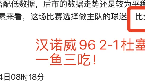 “Netflix联袂NFL，圣诞赛事直播推动橄榄球全球推广”
